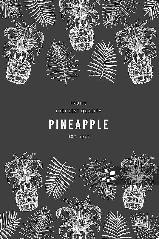 菠萝和热带树叶设计模板图片素材