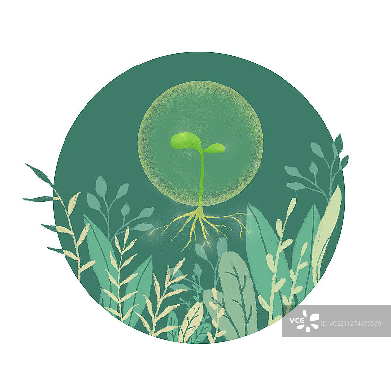 绿植中冉冉升起的植物嫩芽——插画图片素材