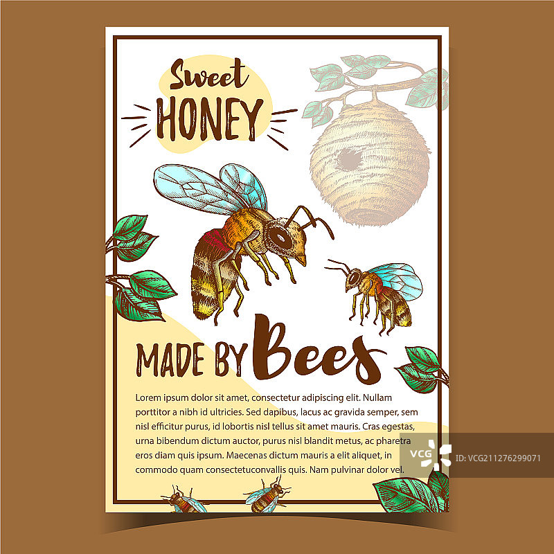 蜂虫和天然蜂房海报图片素材