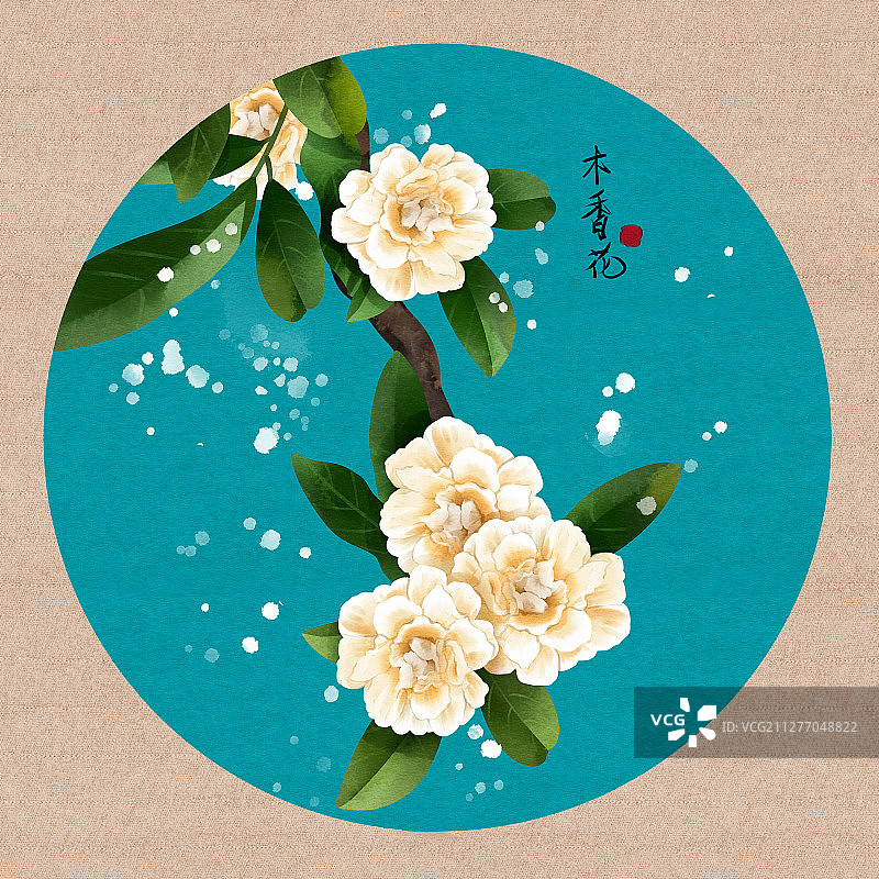 中国风水彩花卉植物木香花插画图片素材