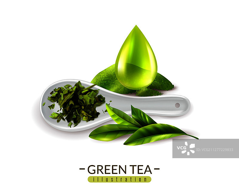 现实的绿茶背景与文本和图像的新鲜绿茶匙和下降矢量插图图片素材