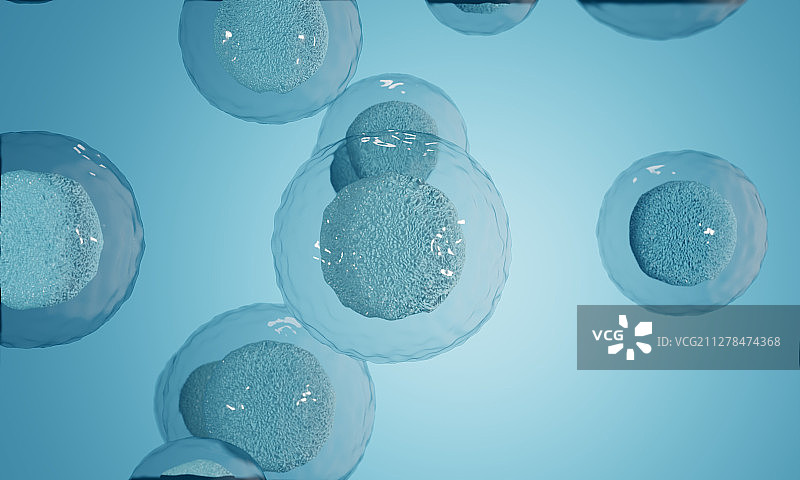 显微镜下的生物卵子卵细胞图片素材