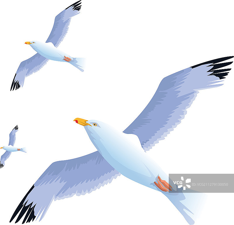 海鸥飞翔的图标设计多姿多彩图片素材