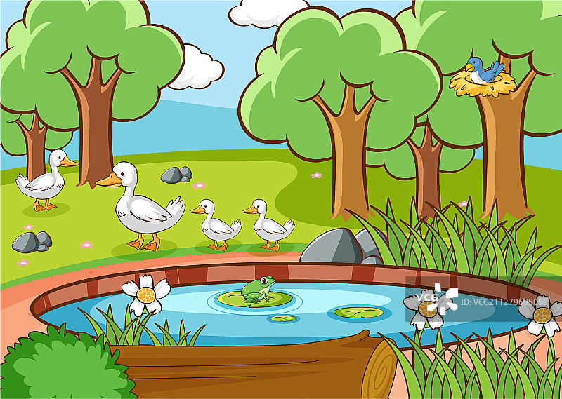 有鸭子和鸟的池塘图片素材
