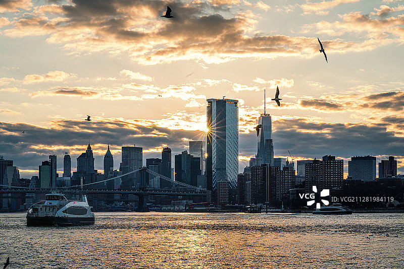 夕阳的余晖透过曼哈顿上空将东河染成一片金色，海鸥随国王的轮渡图片素材