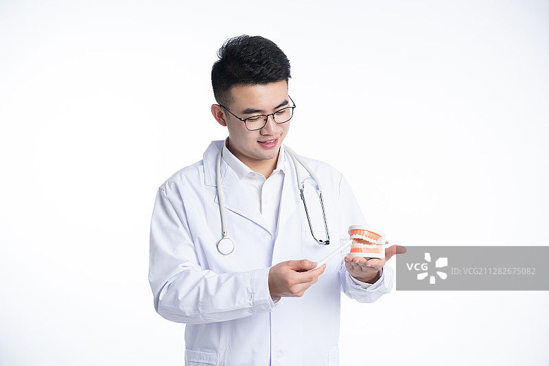 一位亚洲的年轻男医生正在指着牙齿模具图片素材