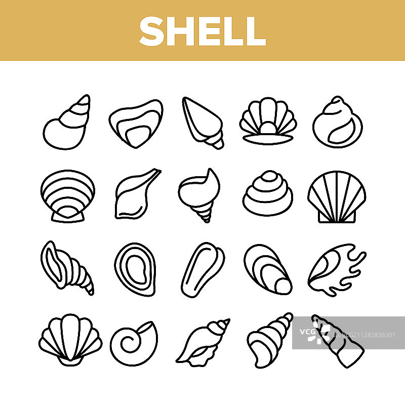 贝壳和海螺收集图标集图片素材