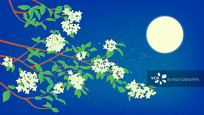 夜晚月光下盛开的绣球花图片素材