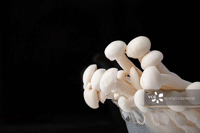 菌类食物白玉菇图片素材
