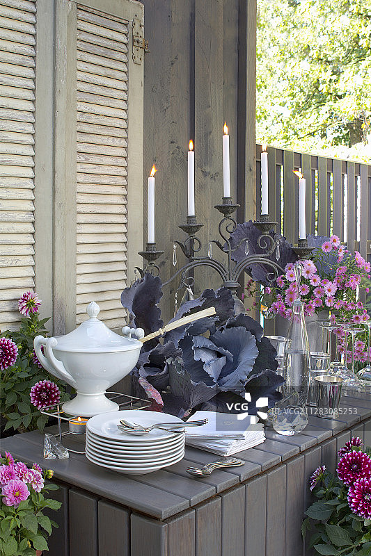 秋季自助餐桌上的汤碗和汤碗用红卷心菜、紫菀和大丽花装饰图片素材