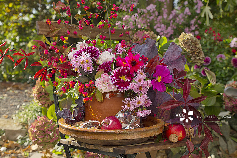 秋天的花束卷心菜叶，大丽花，苹果，核桃和玻璃棱镜在花园的椅子上图片素材