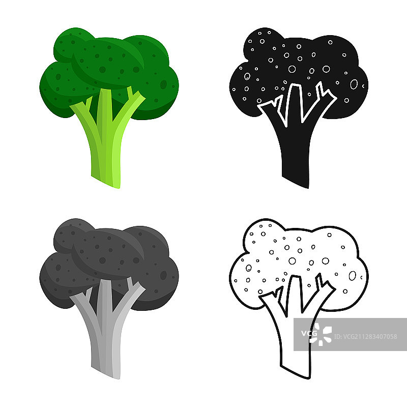 孤立对象花椰菜和白菜标志图片素材