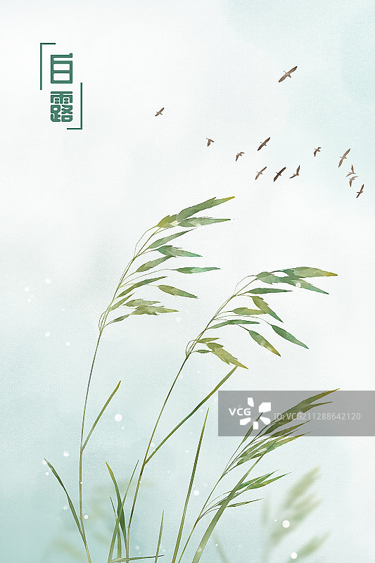 白露中国风水彩二十四节气插画图片素材