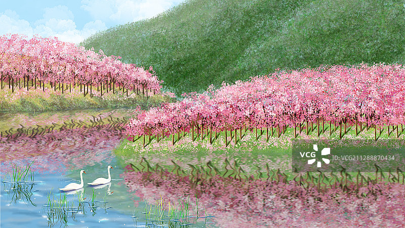 春夏季节河岸上的草坪和樱花树插画图片素材