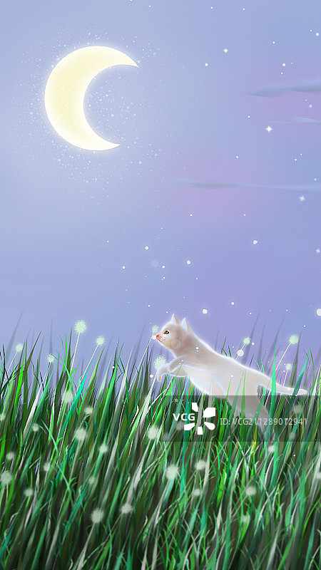 夜空中小猫在草地上向月亮奔跑图片素材