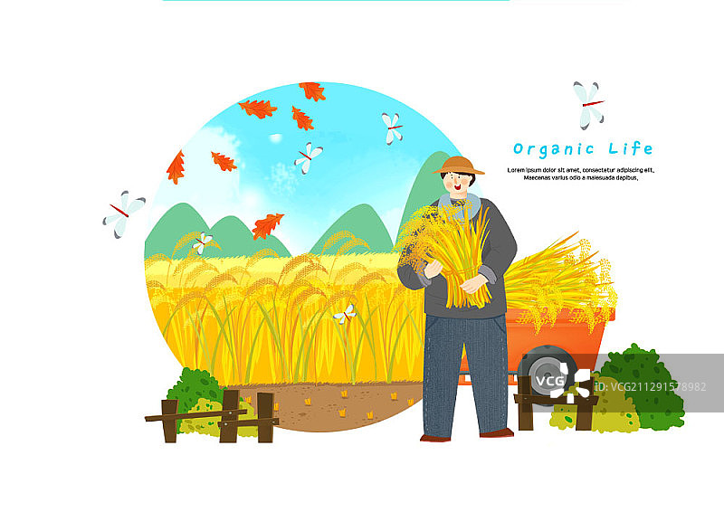农民收割水稻的插图图片素材