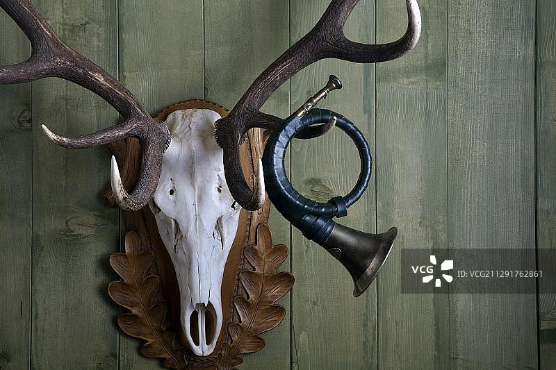 古老的狩猎角挂在马鹿的鹿角上，靠在绿色的木墙上，德国，欧洲图片素材