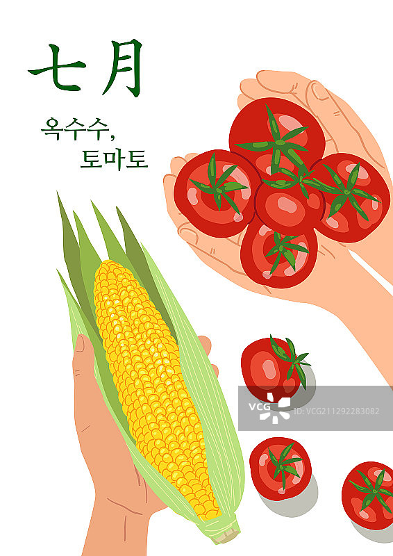 食品，季节食品，顶角，七月，番茄，玉米，人手图片素材