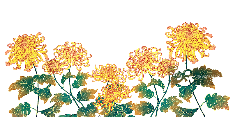 盛开的菊花花丛图片素材