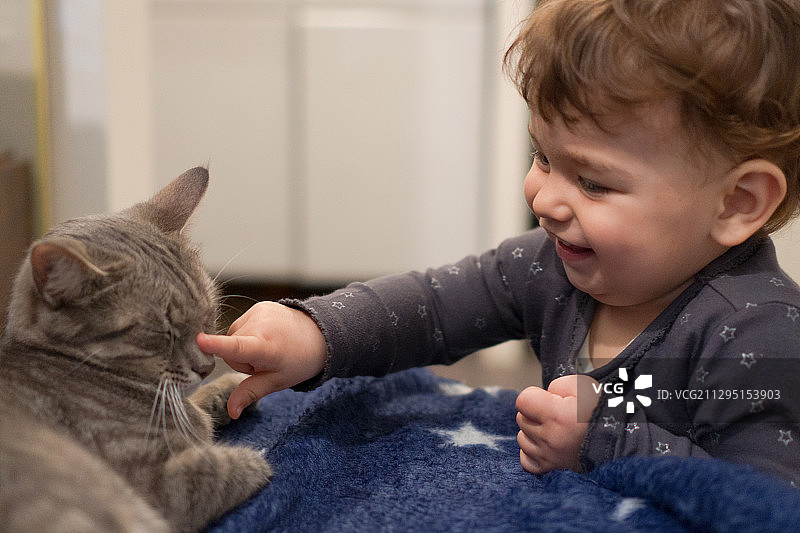 塞尔维亚诺维萨德，一个微笑的孩子戳猫的鼻子图片素材