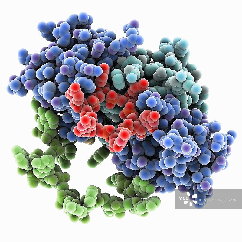 RNA-RNA碱基堆叠，分子模型图片素材