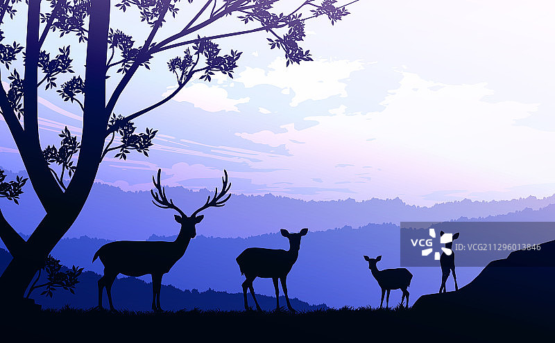 鹿群是天然森林中的野生动物图片素材