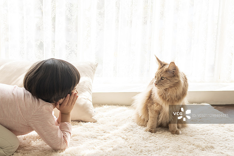 小男孩坐在地毯上看着窗户旁边的猫图片素材