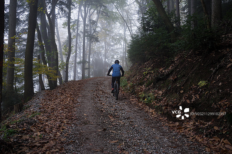 在森林小径上骑自行车的人的后视图图片素材