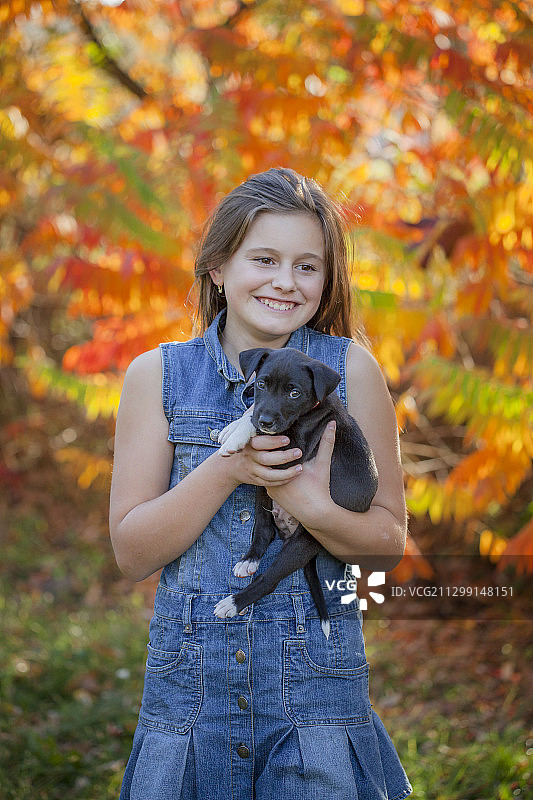 斯洛伐克布拉迪斯拉发，一个女孩在秋天抱着狗站在树上图片素材