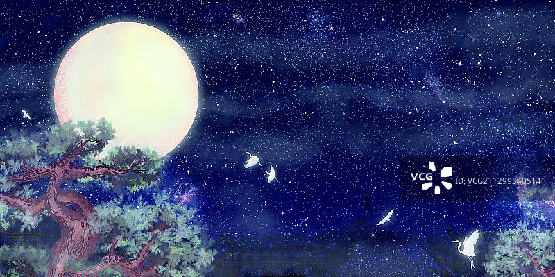 夜晚星空下，圆月照在松树的树梢上插画背景图片素材