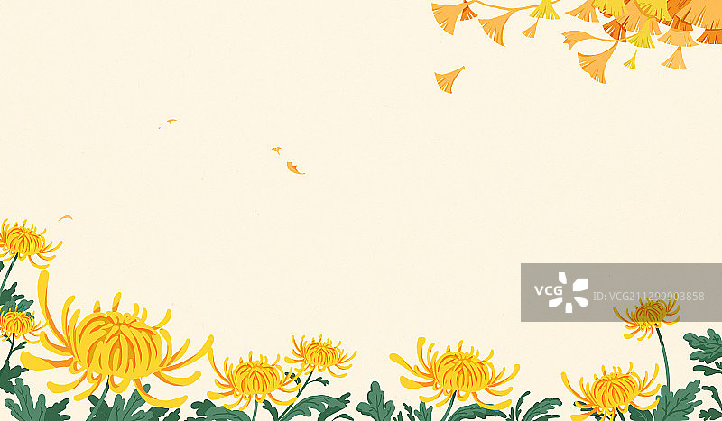 菊花和银杏叶插画背景图片素材