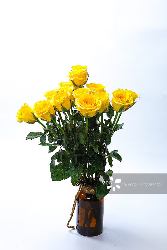 黄色玫瑰花特写图片素材