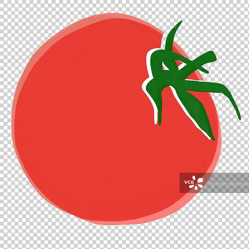 西红柿插图手绘特写图片素材