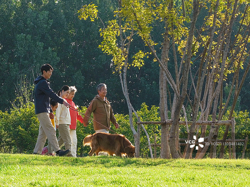 快乐的五口之家和宠物狗在公园散步图片素材