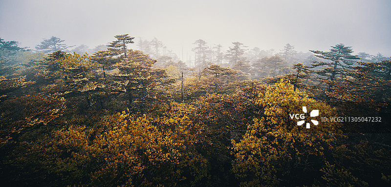 湖北神农架林区山中风景图片素材