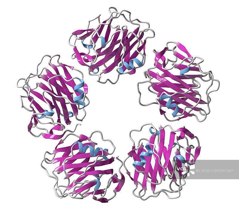 c反应蛋白分子，插图图片素材