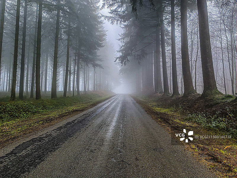 比利时布永的树林中空旷的道路图片素材