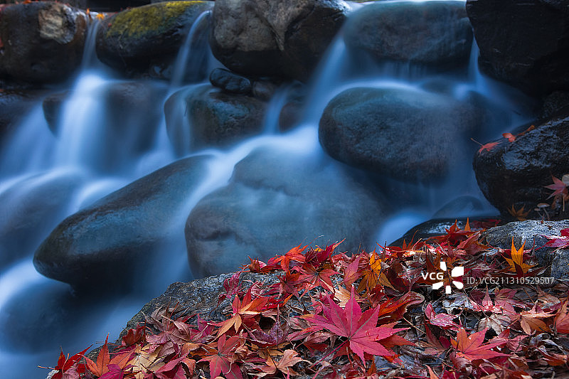 杭州西湖九溪和乌龟潭秋季枫叶图片素材