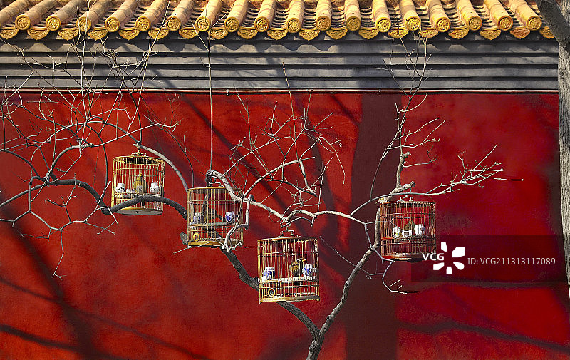 老北京皇城根下的朱漆宫墙与鸟笼图片素材