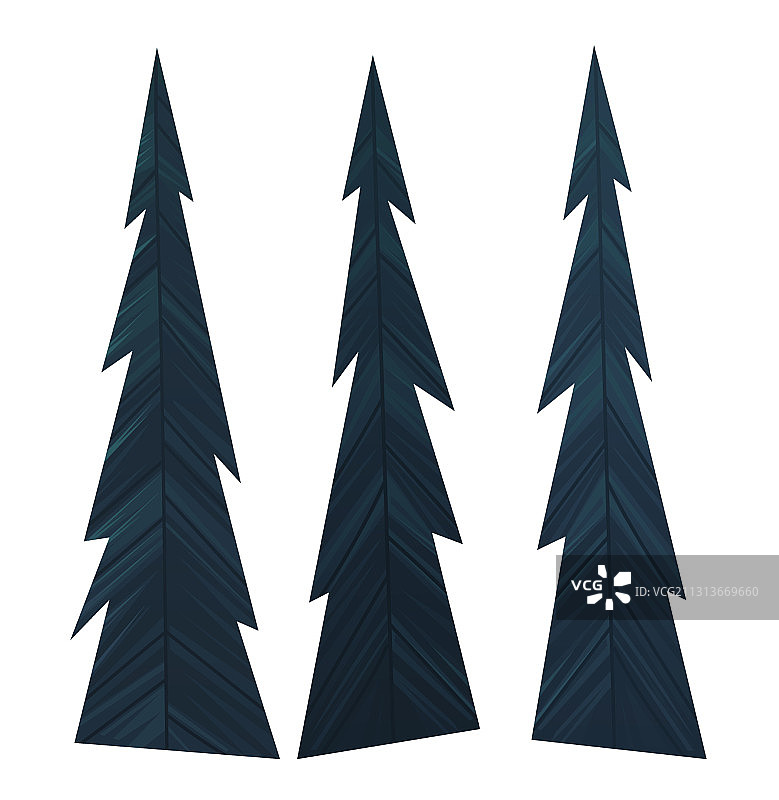 放置深蓝色的平云杉或圣诞树图片素材