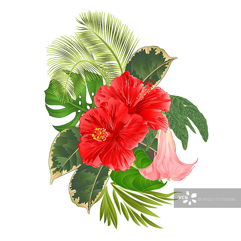 热带花卉与粉红色的插花图片素材
