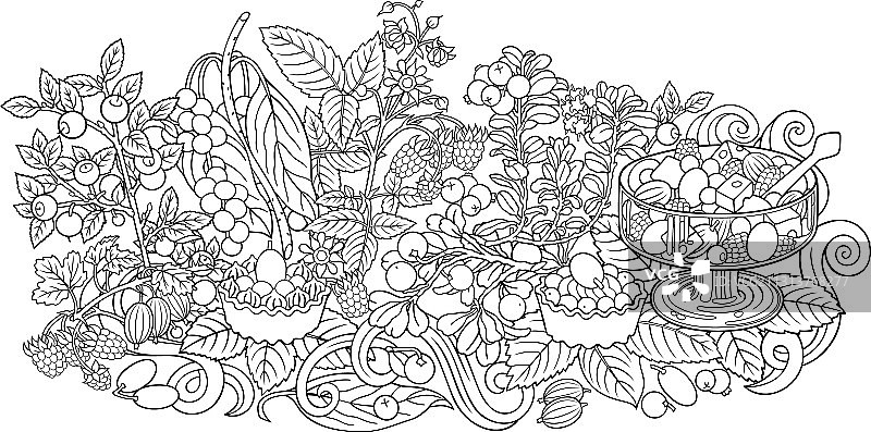 水果，浆果，糖果手绘图片素材