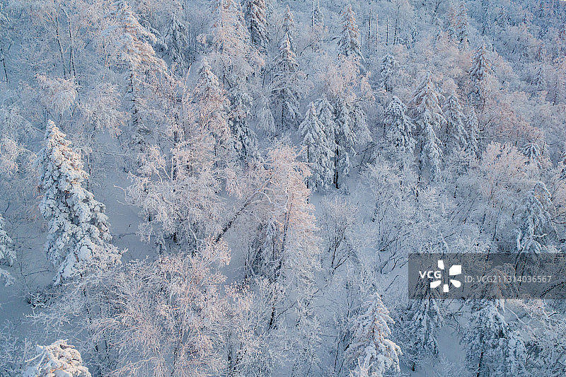 天气晴朗的傍晚航拍雪后的黑龙江雪乡国家森林公园图片素材