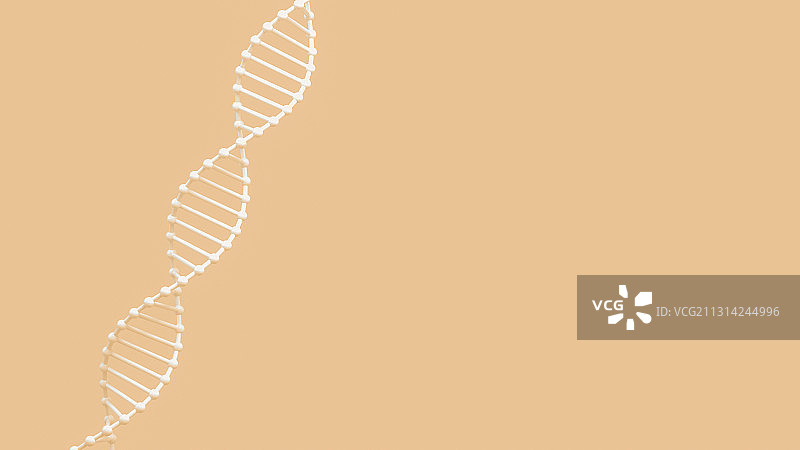 白色DNA基因链条三维渲染图片素材