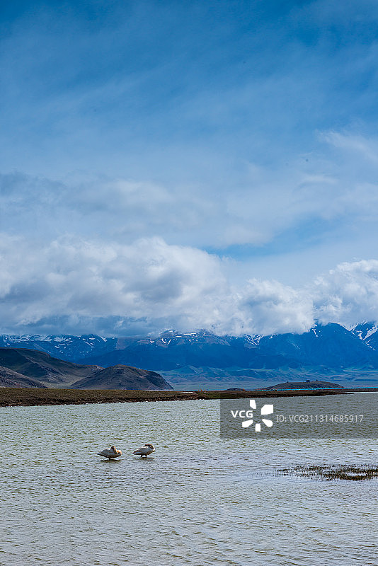 新疆赛里木湖风光图片素材