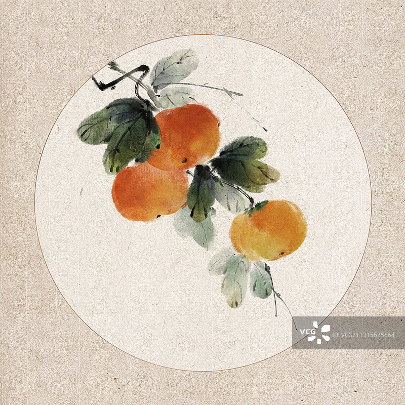中国风古风水墨写意水果插画 ——柿子图片素材
