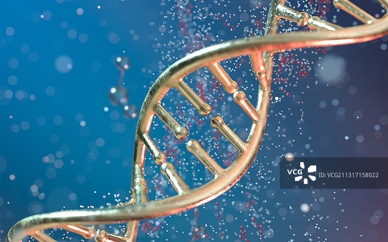 DNA与分子粒子背景 3D渲染图片素材