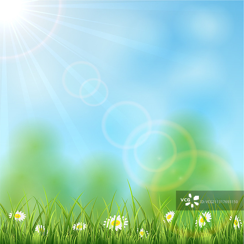 以阳光和青草为背景的大自然图片素材