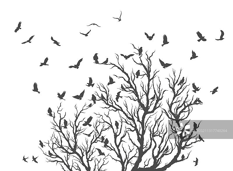 鸟群在树枝上飞翔图片素材