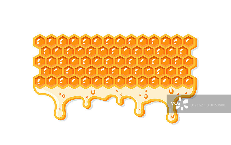 用蜂窝流动蜂蜜图片素材